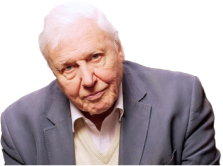 David Attenborough